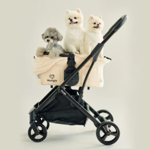 thumb_model_wego_01-302x302.jpg